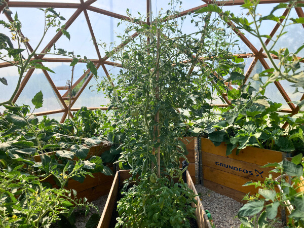 kuppel gewaechshaeus2